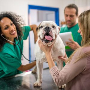 How Pill Punchers Can Improve Your Veterinary Clinic Branding